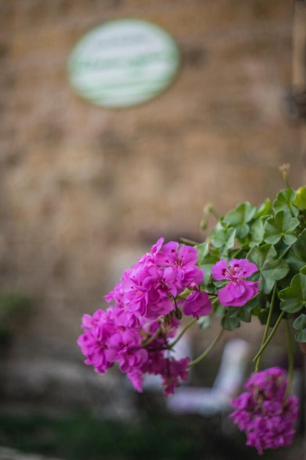 B&B Etruscan Garden 苏特里 外观 照片