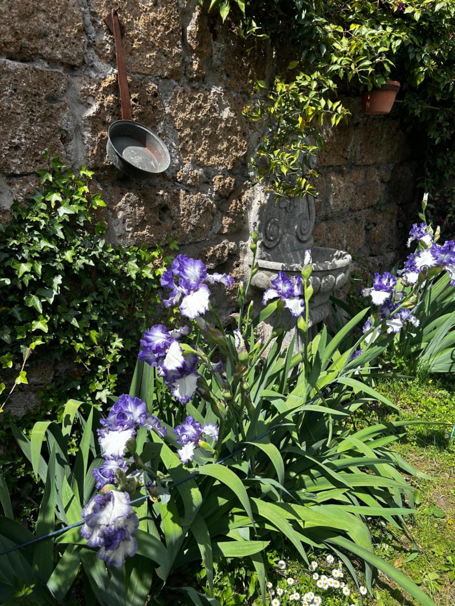 B&B Etruscan Garden 苏特里 外观 照片
